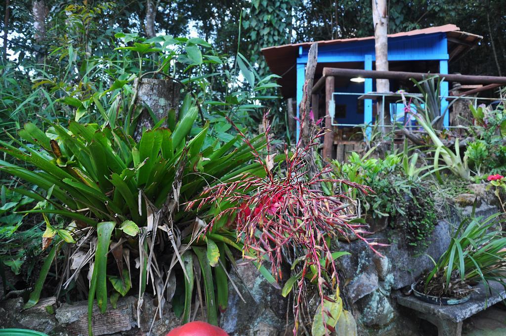 Pousada Ecologica Lua Bonita Do Nero Macacos  Eksteriør bilde